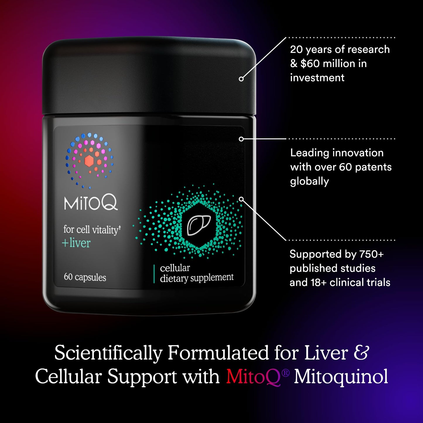 MitoQ +Liver – Advanced Liver Supplement with Highly Bioavailable Milk Thistle, Choline, Selenium Mitoquinol – Supports Metabolism, Body’s Natural Detoxification & Liver Health – 60 Capsules - dailyvitalstore
