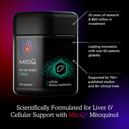 MitoQ +Liver – Advanced Liver Supplement with Highly Bioavailable Milk Thistle, Choline, Selenium Mitoquinol – Supports Metabolism, Body’s Natural Detoxification & Liver Health – 60 Capsules - dailyvitalstore