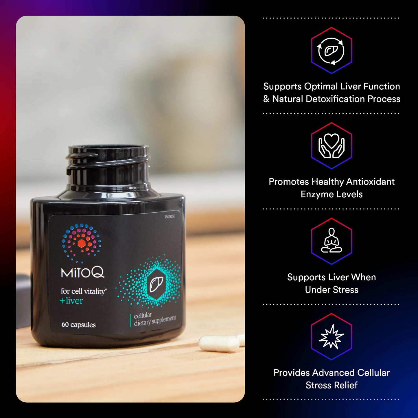 MitoQ +Liver – Advanced Liver Supplement with Highly Bioavailable Milk Thistle, Choline, Selenium Mitoquinol – Supports Metabolism, Body’s Natural Detoxification & Liver Health – 60 Capsules - dailyvitalstore