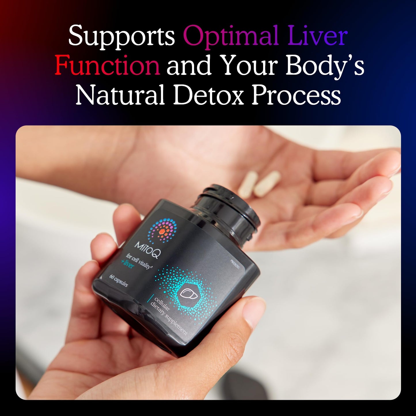 MitoQ +Liver – Advanced Liver Supplement with Highly Bioavailable Milk Thistle, Choline, Selenium Mitoquinol – Supports Metabolism, Body’s Natural Detoxification & Liver Health – 60 Capsules - dailyvitalstore