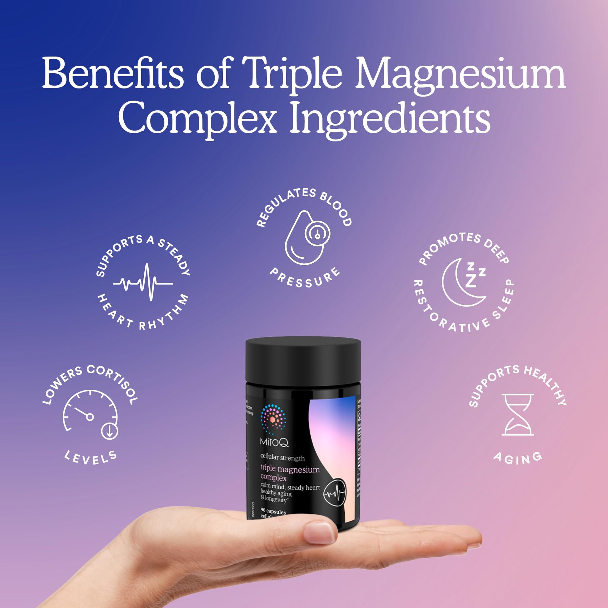 MitoQ Triple Magnesium Complex | Magnesium Glycinate, Taurinate, Oxide with GABA for Heart Health, Stress Management, & Deeper Sleep | High Absorption | 90 Capsules - dailyvitalstore