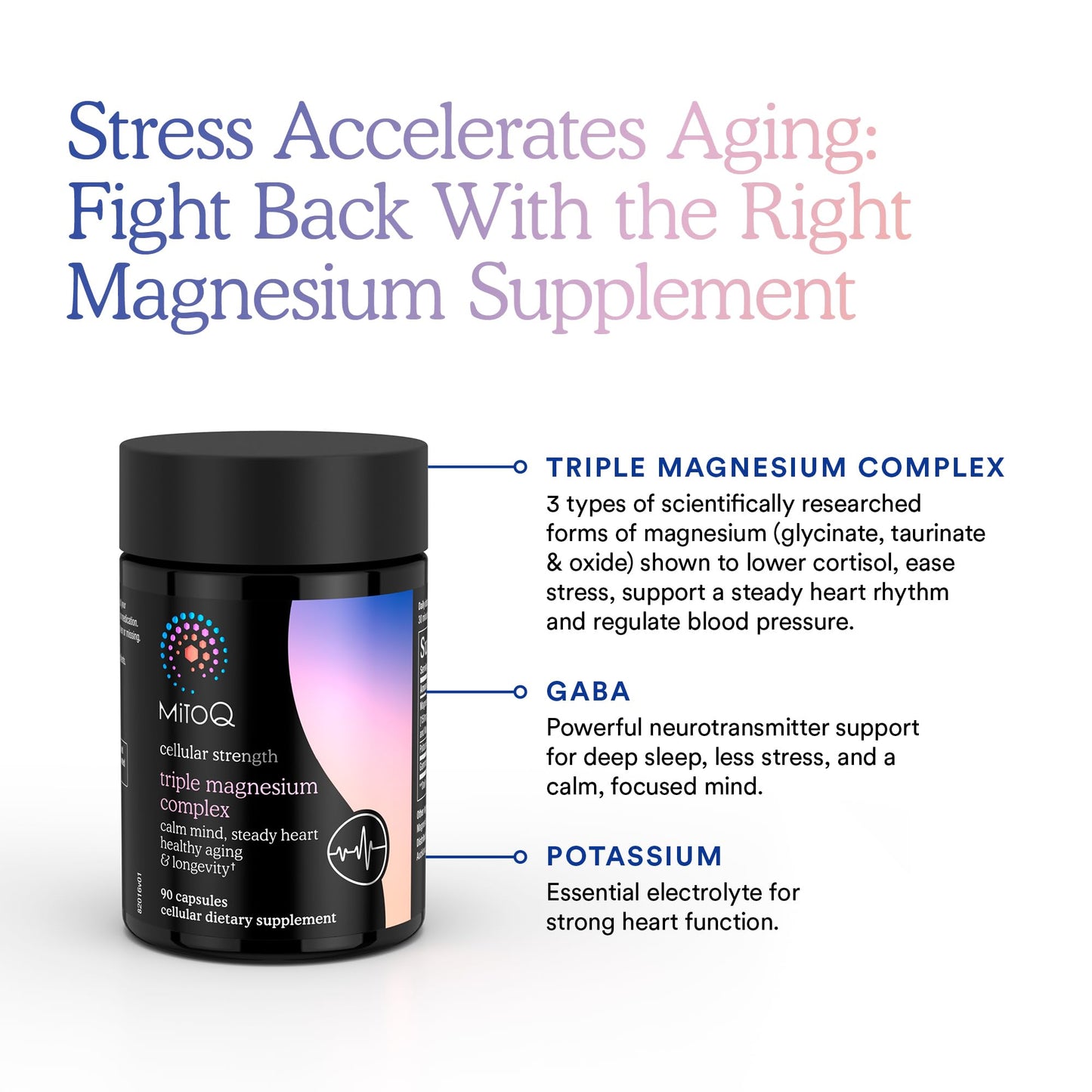 MitoQ Triple Magnesium Complex | Magnesium Glycinate, Taurinate, Oxide with GABA for Heart Health, Stress Management, & Deeper Sleep | High Absorption | 90 Capsules - dailyvitalstore