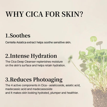 mixsoon Soondy Centella Asiatica Essence-Soothing and Calming for Face, Jeju Island Cica Extracts and Hydrating Formula for Balanced Skin 30ml - dailyvitalstore