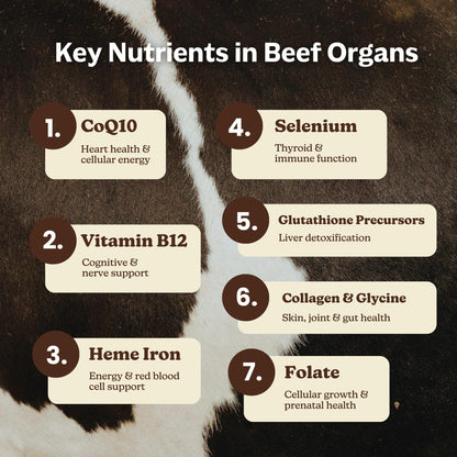 MK Supplements Grass-Fed Beef Organs Capsules | 5 Organs in Nature-Identical Ratios | B12, Copper & Heme Iron | Regeneratively Raised | 150 Capsules - dailyvitalstore