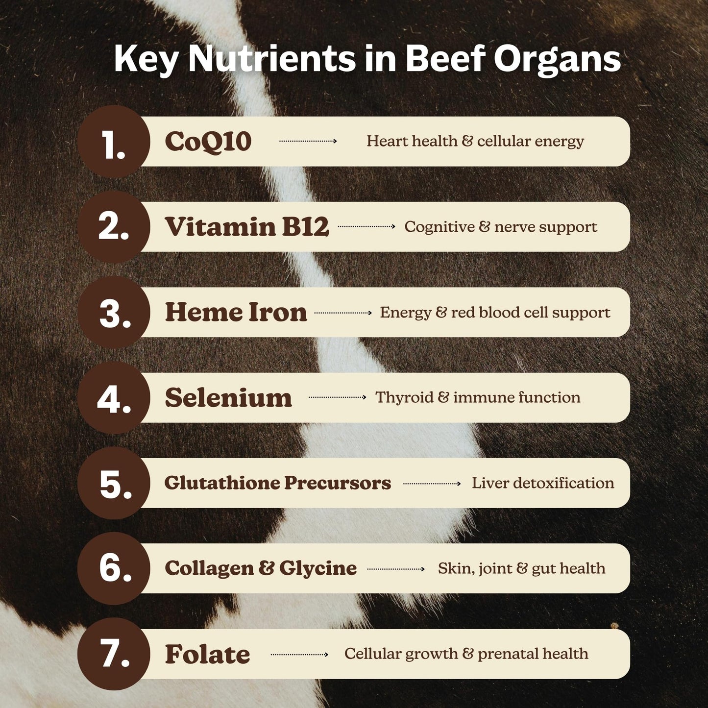 MK Supplements Grass-Fed Beef Organs Capsules | 5 Organs in Nature-Identical Ratios | B12, Copper & Heme Iron | Regeneratively Raised | 150 Capsules - dailyvitalstore