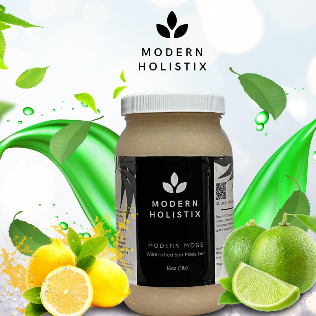 Modern Holistix Original Sea Moss Gel – 32oz Jar | Wildcrafted | All-Natural Superfood for Immunity, Energy & Gut Health - dailyvitalstore