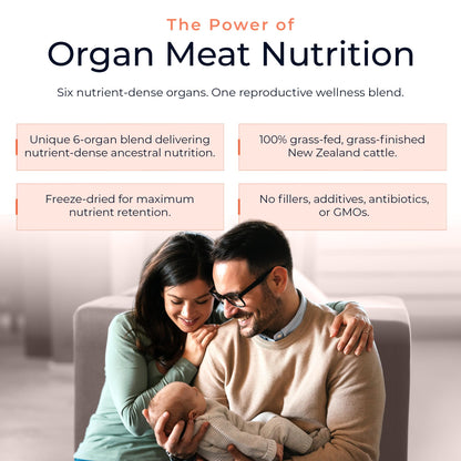 Molecular Fertility Beef Organ Complex - Pasture-Raised, Grass Fed Beef Liver, Brain, Heart, Spleen, Pancreas Blend, Healthy Hormone Balance and Fertility Supplement for Women and Men, 180 Capsules - dailyvitalstore