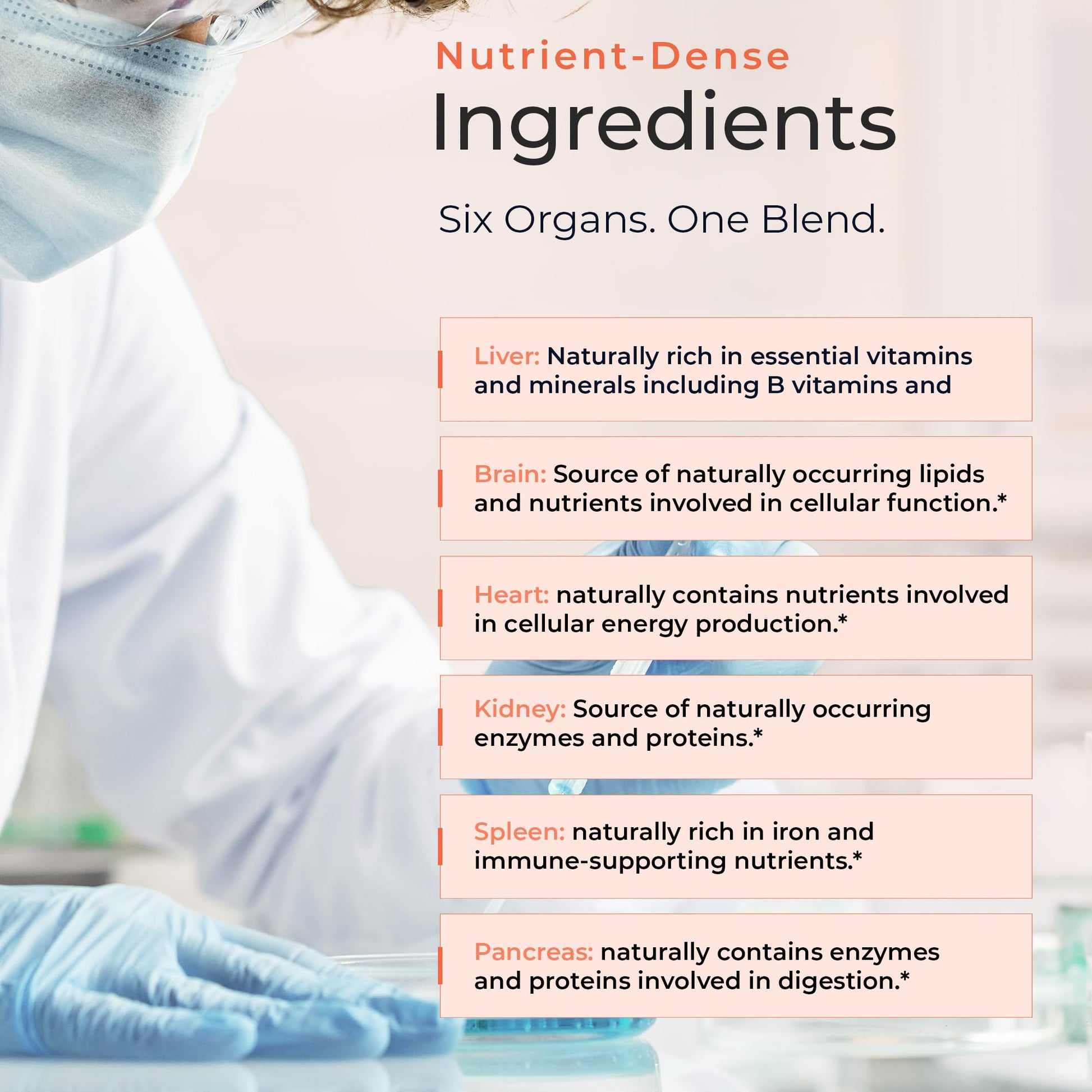 Molecular Fertility Beef Organ Complex - Pasture-Raised, Grass Fed Beef Liver, Brain, Heart, Spleen, Pancreas Blend, Healthy Hormone Balance and Fertility Supplement for Women and Men, 180 Capsules - dailyvitalstore