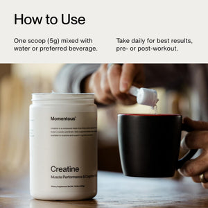 Momentous Creatine Lemon Monohydrate Powder - Creatine Powder - Supports Strength, Lean Muscle, & Recovery for Men & Women - NSF Certified for Sport - 6.49 g per Serving - 15 Servings - dailyvitalstore