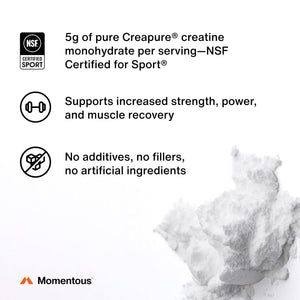 Momentous Creatine Lemon Monohydrate Powder - Creatine Powder - Supports Strength, Lean Muscle, & Recovery for Men & Women - NSF Certified for Sport - 6.49 g per Serving - 15 Servings - dailyvitalstore