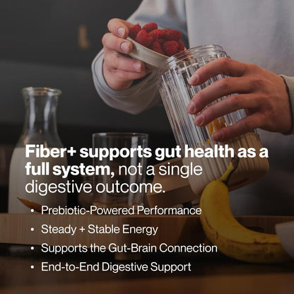Momentous Fiber+ - Daily Multi-Source Fiber Blend to Support Nutrient Absorption, Natural Energy Production, & Recovery - NSF Certified for Sport - Non-GMO & Gluten-Free - dailyvitalstore