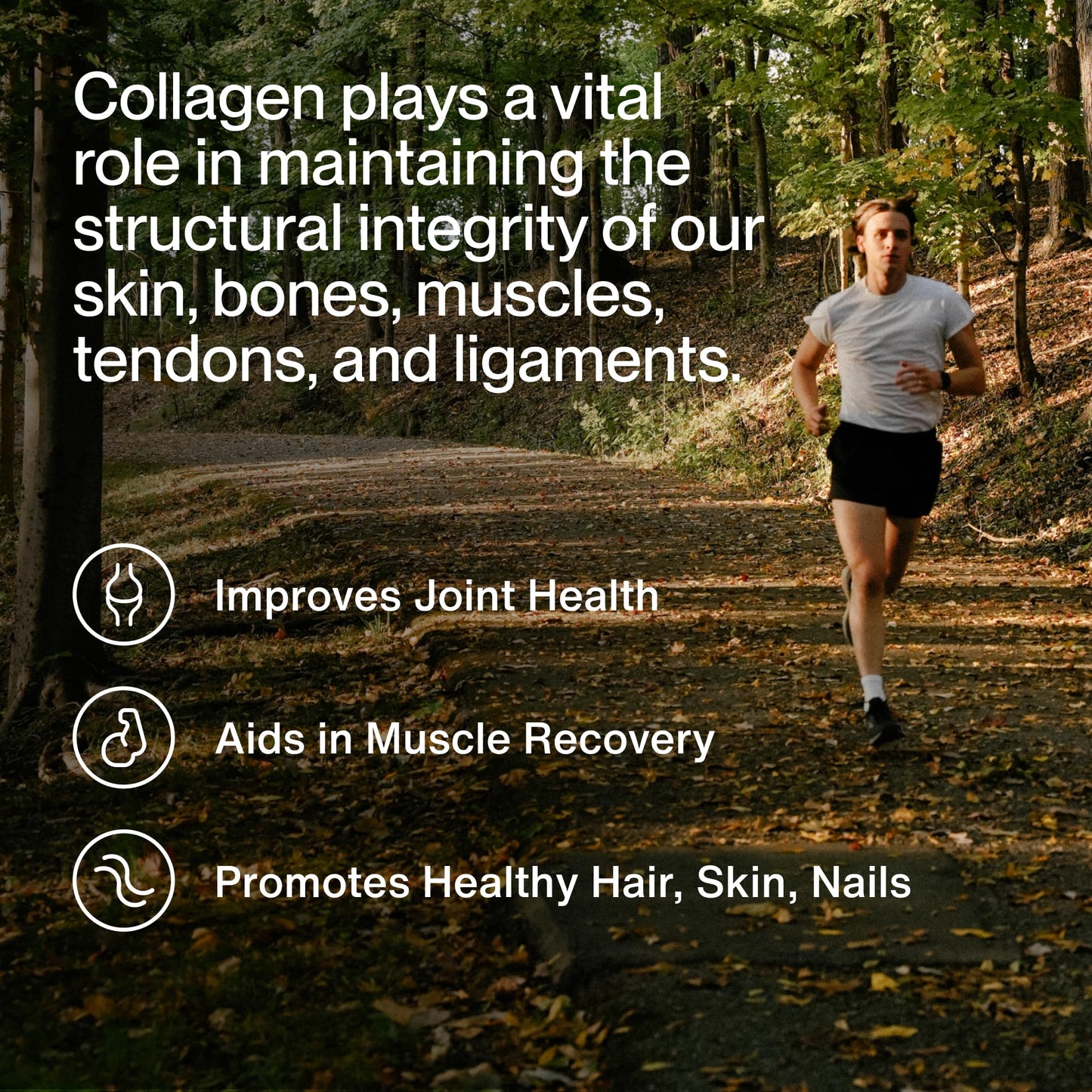 Momentous Grass-Fed Collagen Peptides Powder - Collagen Protein Powder with Fortigel & Vitamin C for Hair, Skin, Nails, & Joint Health Support - dailyvitalstore