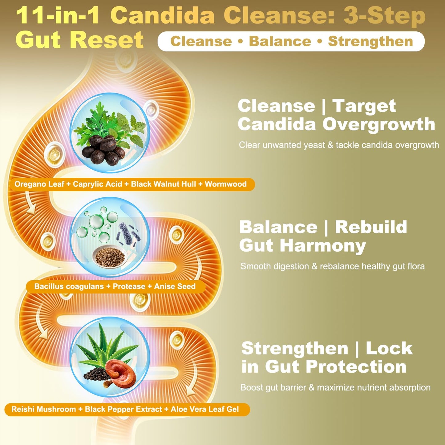Montorchid Candida Cleanse & Parasite Cleanse Detox | Black Pepper-Boosted Triple-Targeting Formula with Caprylic Acid, Oregano, Black Walnut - dailyvitalstore