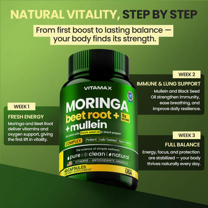 Moringa Capsules, Beet Root, Mullein Leaf - Energy, Skin, Immune Supplement Superfood, Rich in Antioxidants, Minerals & Essential Vitamins - High Absorption Non-GMO - Made in USA - 60ct - dailyvitalstore