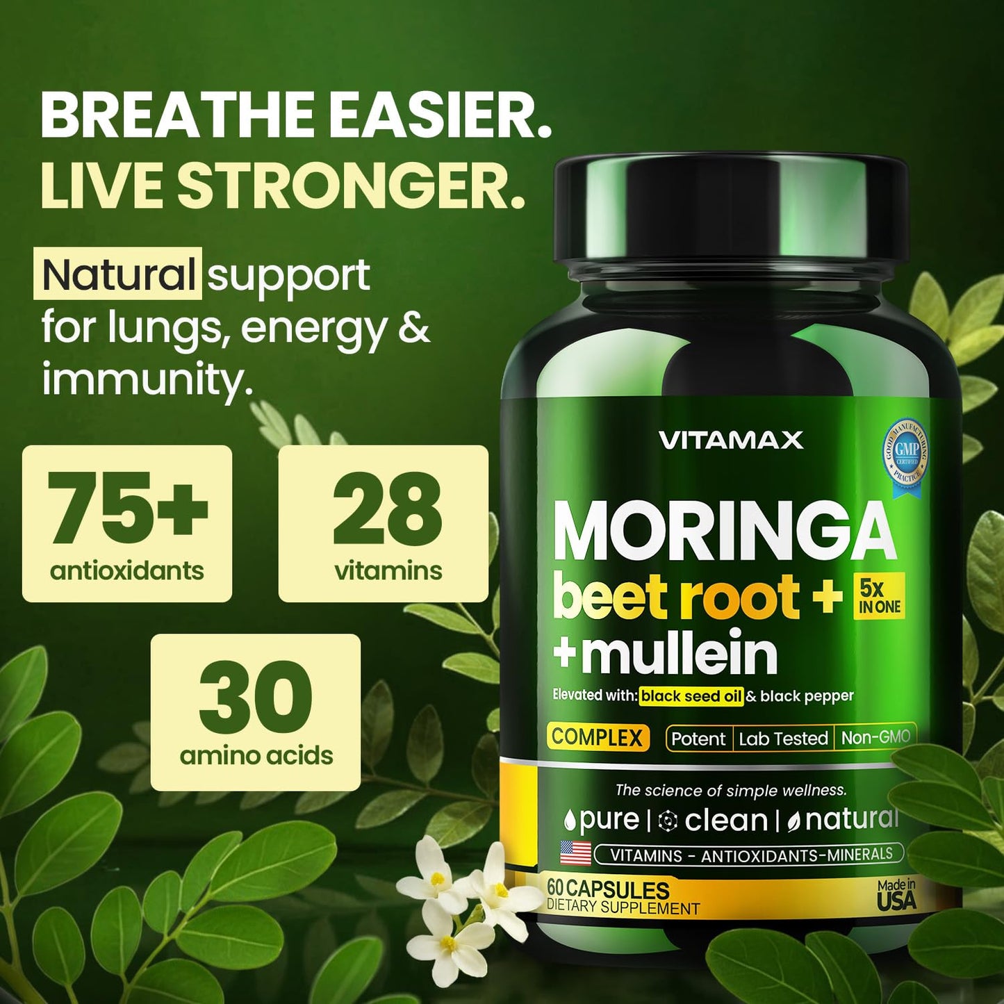 Moringa Capsules, Beet Root, Mullein Leaf - Energy, Skin, Immune Supplement Superfood, Rich in Antioxidants, Minerals & Essential Vitamins - High Absorption Non-GMO - Made in USA - 60ct - dailyvitalstore