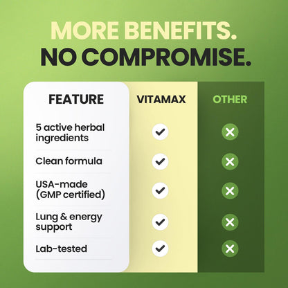 Moringa Capsules, Beet Root, Mullein Leaf - Energy, Skin, Immune Supplement Superfood, Rich in Antioxidants, Minerals & Essential Vitamins - High Absorption Non-GMO - Made in USA - 60ct - dailyvitalstore