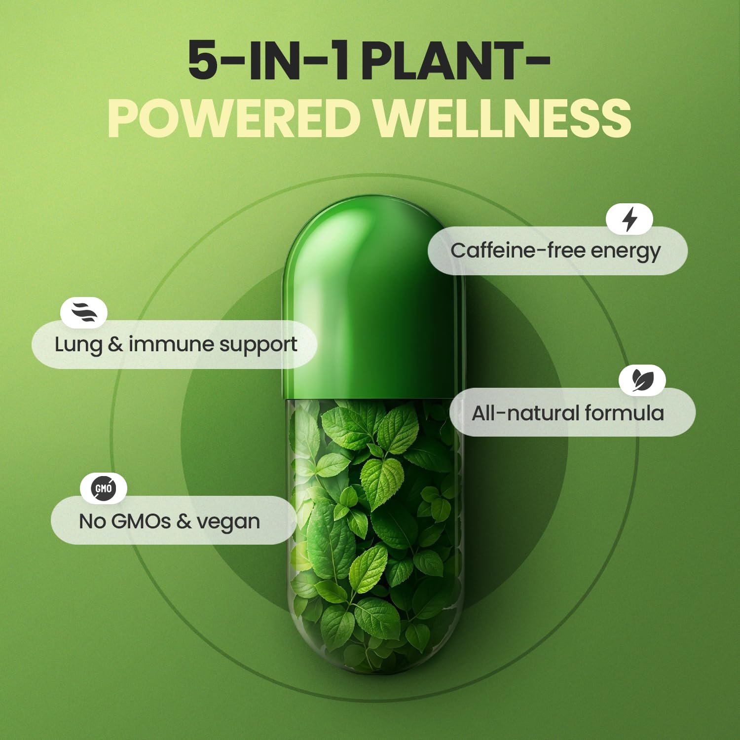 Moringa Capsules, Beet Root, Mullein Leaf - Energy, Skin, Immune Supplement Superfood, Rich in Antioxidants, Minerals & Essential Vitamins - High Absorption Non-GMO - Made in USA - 60ct - dailyvitalstore