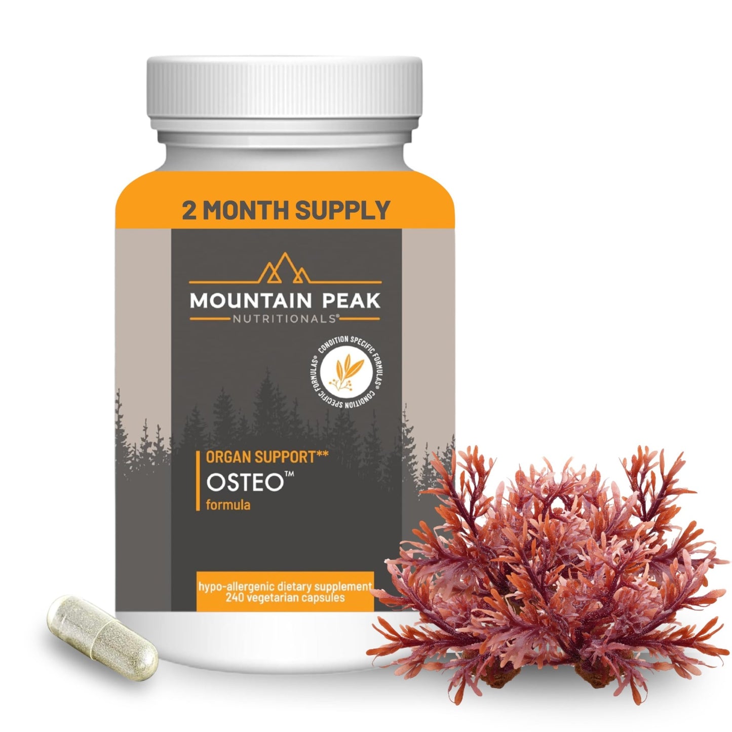 Mountain Peak Nutritionals Osteo Supplement - Organ & Strong Bone Support, Promotes Bone Health - With Vitamins D3, K2, Calcium, and Magnesium - Bone Building & Strengthening (240 Vegetarian Capsules) - dailyvitalstore