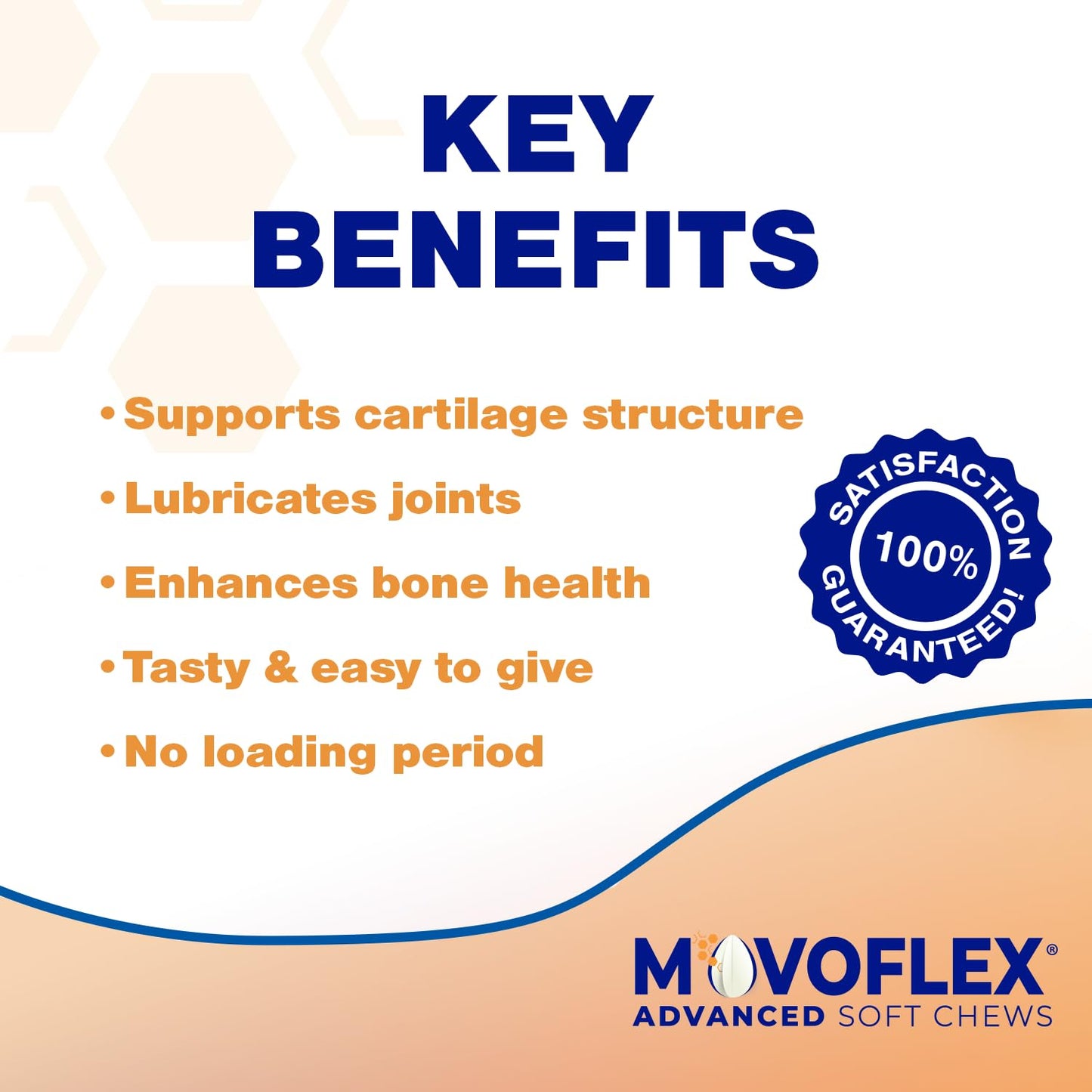 MOVOFLEX Advanced Soft Chews Hip Joint Support Supplement for Large Dogs 60 Count by Virbac - dailyvitalstore