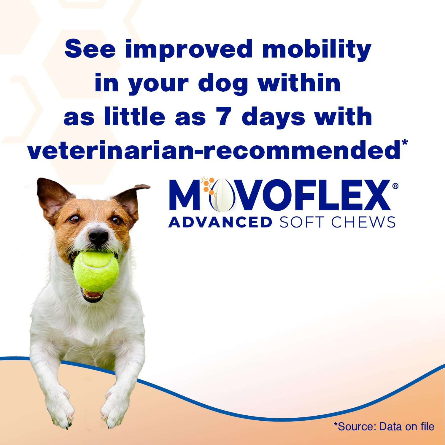 MOVOFLEX Advanced Soft Chews Hip Joint Support Supplement for Large Dogs 60 Count by Virbac - dailyvitalstore