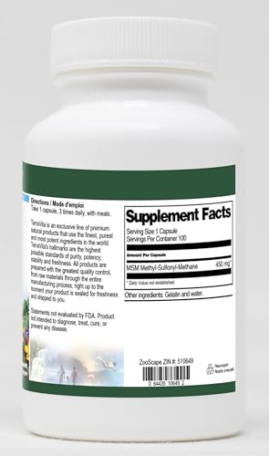 MSM - 450 mg (100 Capsules, ZIN: 510649) - 3 Pack - dailyvitalstore