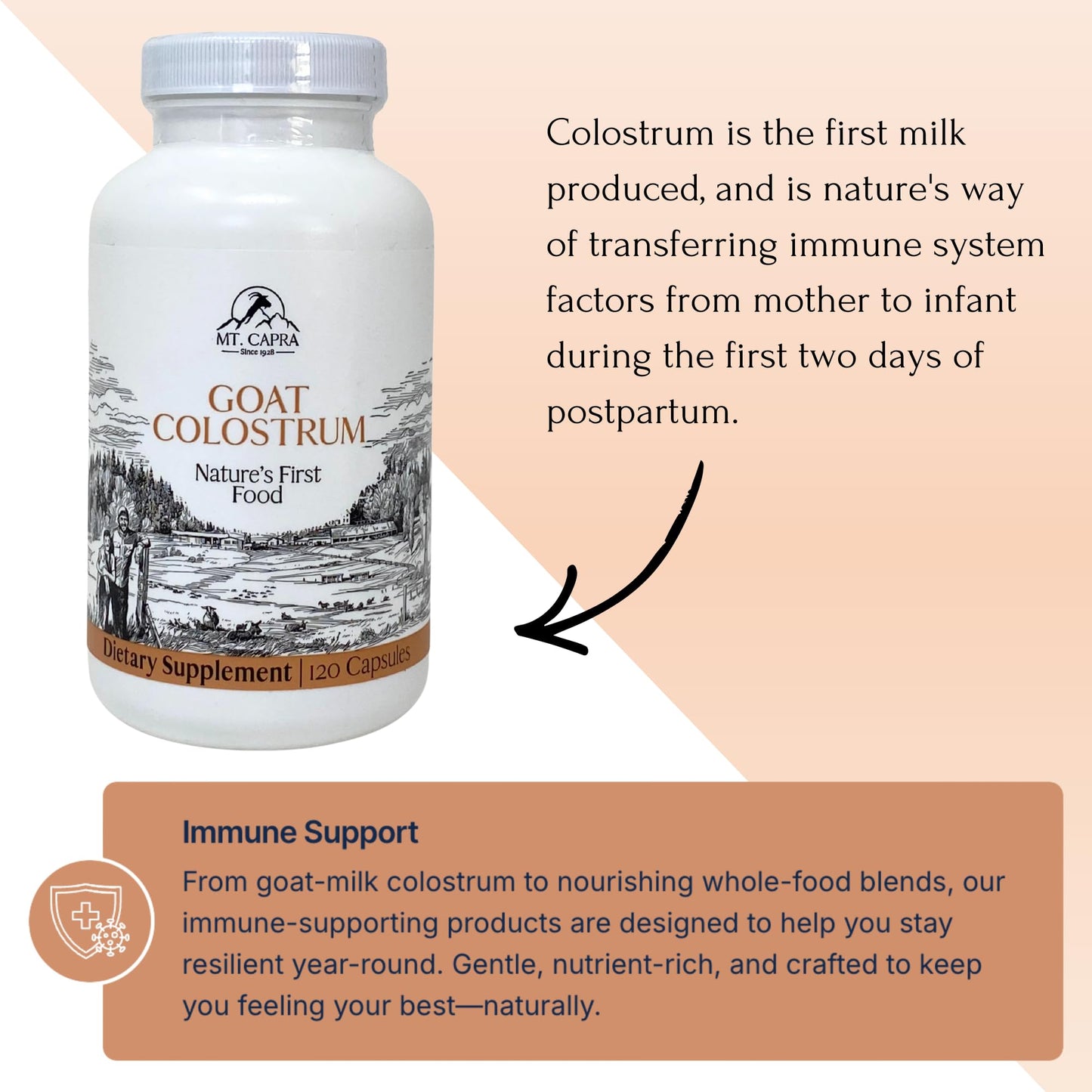 Mt. Capra Goat Colostrum | for Healthy Immune System, Gut, and Athletic Performance | Grass-Fed, High in Immunoglobulins | 30 Servings - 120 Capsules - dailyvitalstore