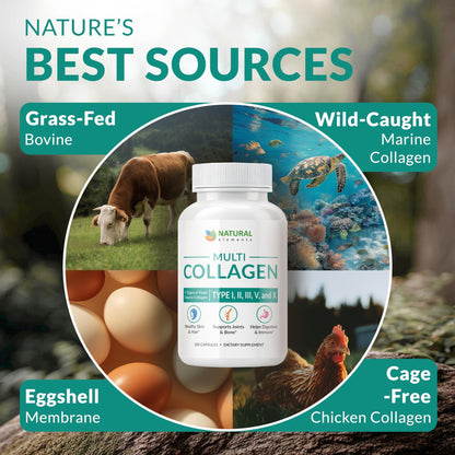 Multi Collagen 180 Protein Capsules - Type I, II, III, V, X Collagen Pills - Proprietary Blend of Eggshell, Chicken, Wild Fish & Grass-Fed - dailyvitalstore