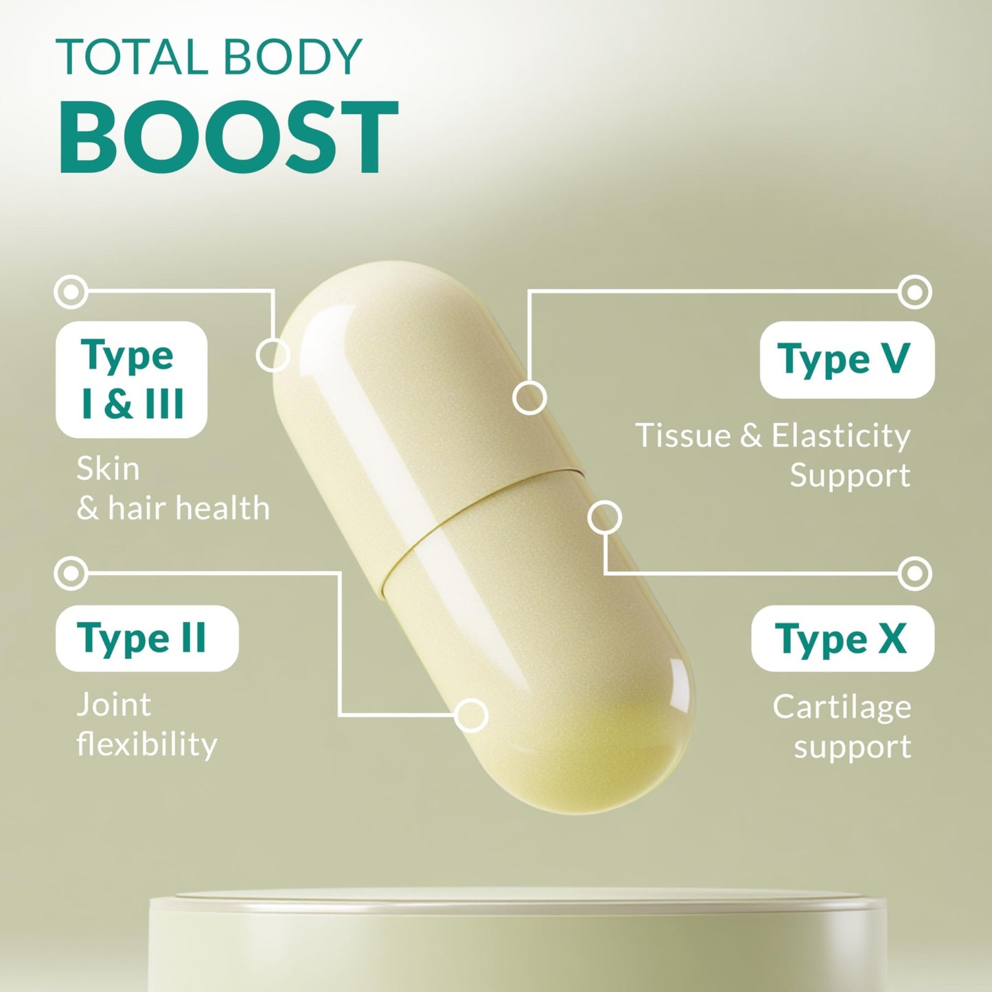 Multi Collagen 180 Protein Capsules - Type I, II, III, V, X Collagen Pills - Proprietary Blend of Eggshell, Chicken, Wild Fish & Grass-Fed - dailyvitalstore