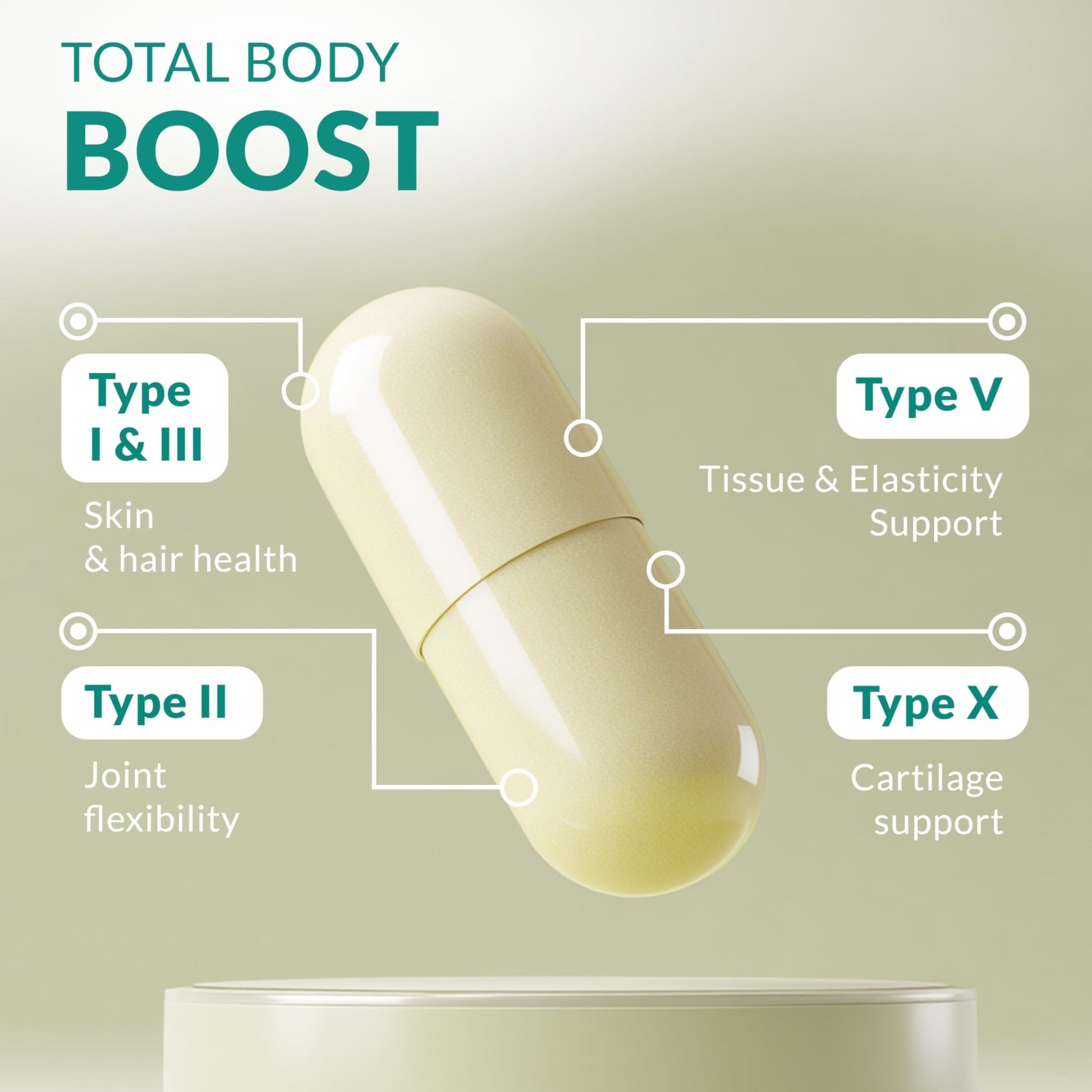 Multi Collagen 180 Protein Capsules - Type I, II, III, V, X Collagen Pills - Proprietary Blend of Eggshell, Chicken, Wild Fish & Grass-Fed - dailyvitalstore