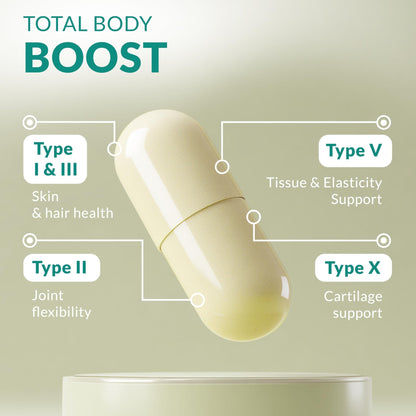 Multi Collagen 180 Protein Capsules - Type I, II, III, V, X Collagen Pills - Proprietary Blend of Eggshell, Chicken, Wild Fish & Grass-Fed - dailyvitalstore