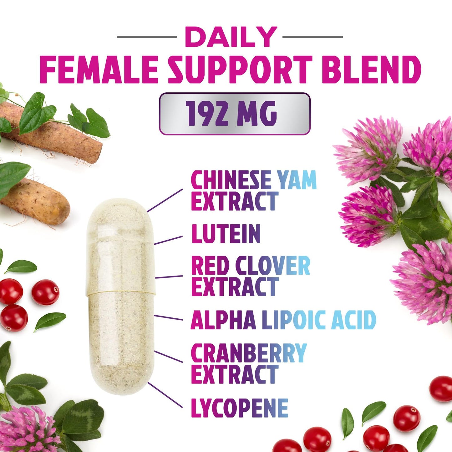 Multivitamin for Women - with Vitamins A, C, D, E, B6, B12, Zinc, Calcium & Magnesium, Womens Daily Multi Vitamin Multimineral Supplement for Bone Health, Energy & Immune Support - 120 Capsules - dailyvitalstore