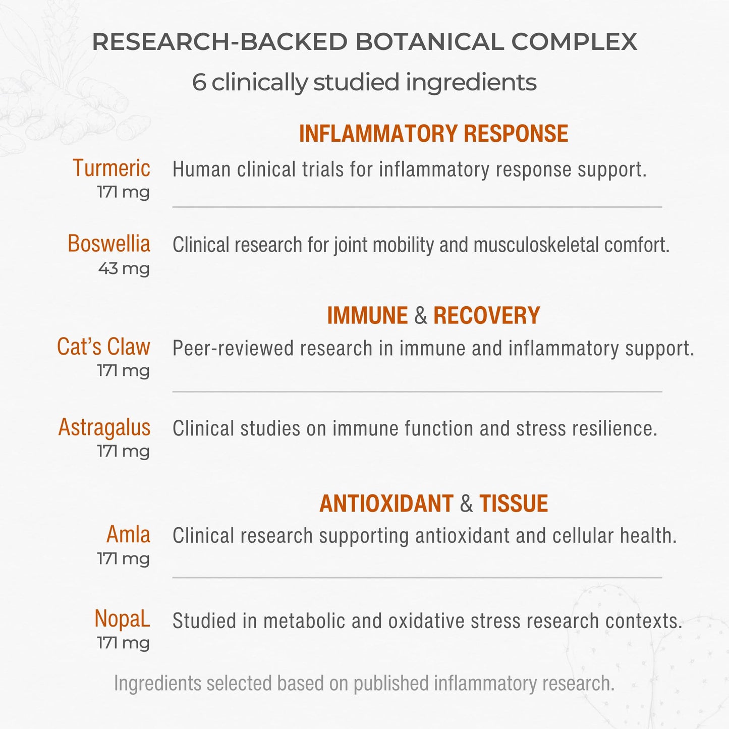 Muscle & Joint Support Supplement – Botanical Formula for Healthy Inflammatory Response | 6 Research-Backed Botanicals | Organic Turmeric | 60 Capsules | Sana Herbal - dailyvitalstore