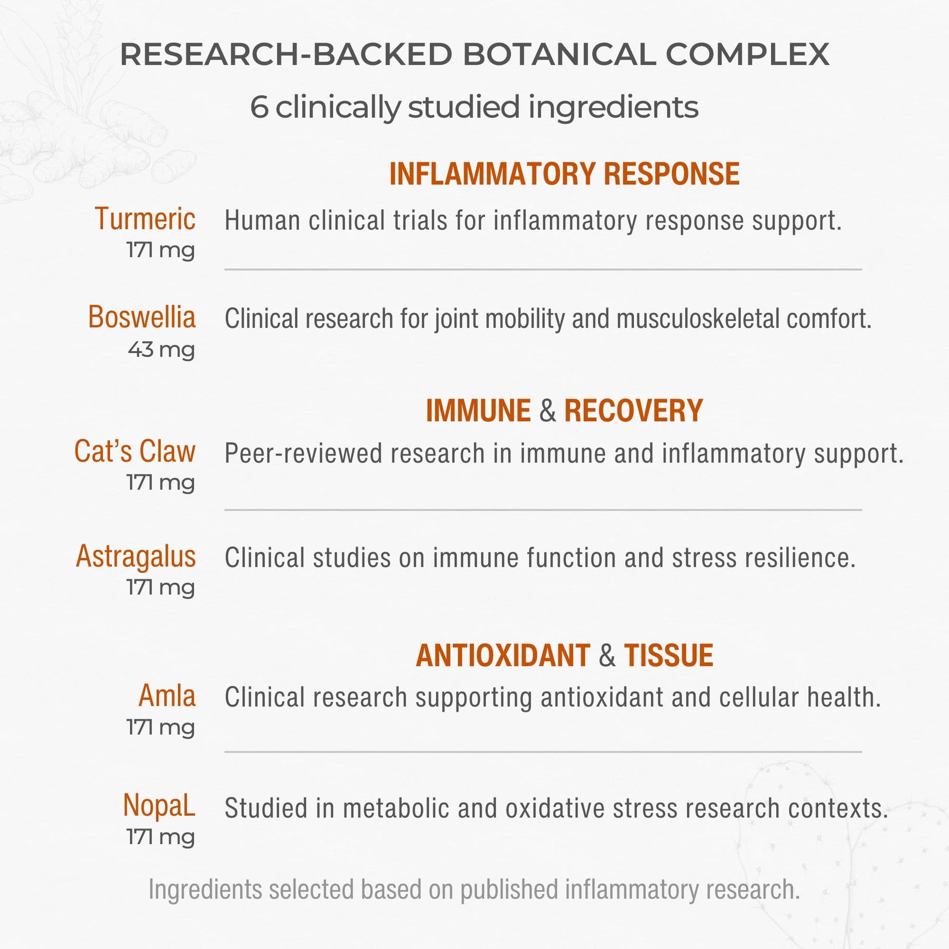 Muscle & Joint Support Supplement – Botanical Formula for Healthy Inflammatory Response | 6 Research-Backed Botanicals | Organic Turmeric | 60 Capsules | Sana Herbal - dailyvitalstore