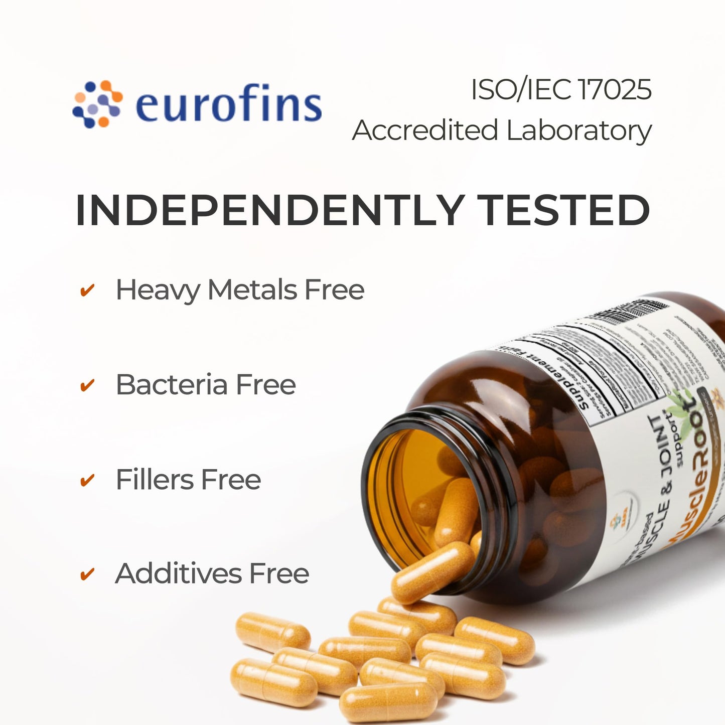 Muscle & Joint Support Supplement – Botanical Formula for Healthy Inflammatory Response | 6 Research-Backed Botanicals | Organic Turmeric | 60 Capsules | Sana Herbal - dailyvitalstore