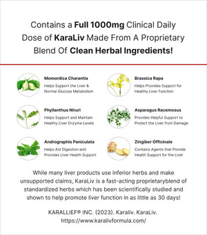 MuscleMeds Liver Detox & Defend, Cleanse, Repair Formula - Herbal Liver Support Supplement, NAC, Silymarin Milk Thistle, 60 Servings - dailyvitalstore