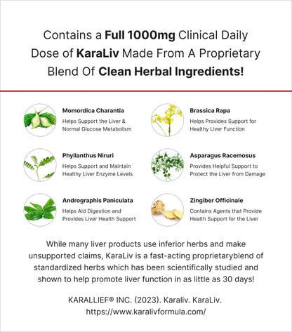 MuscleMeds Liver Detox & Defend, Cleanse, Repair Formula - Herbal Liver Support Supplement, NAC, Silymarin Milk Thistle, 60 Servings - dailyvitalstore