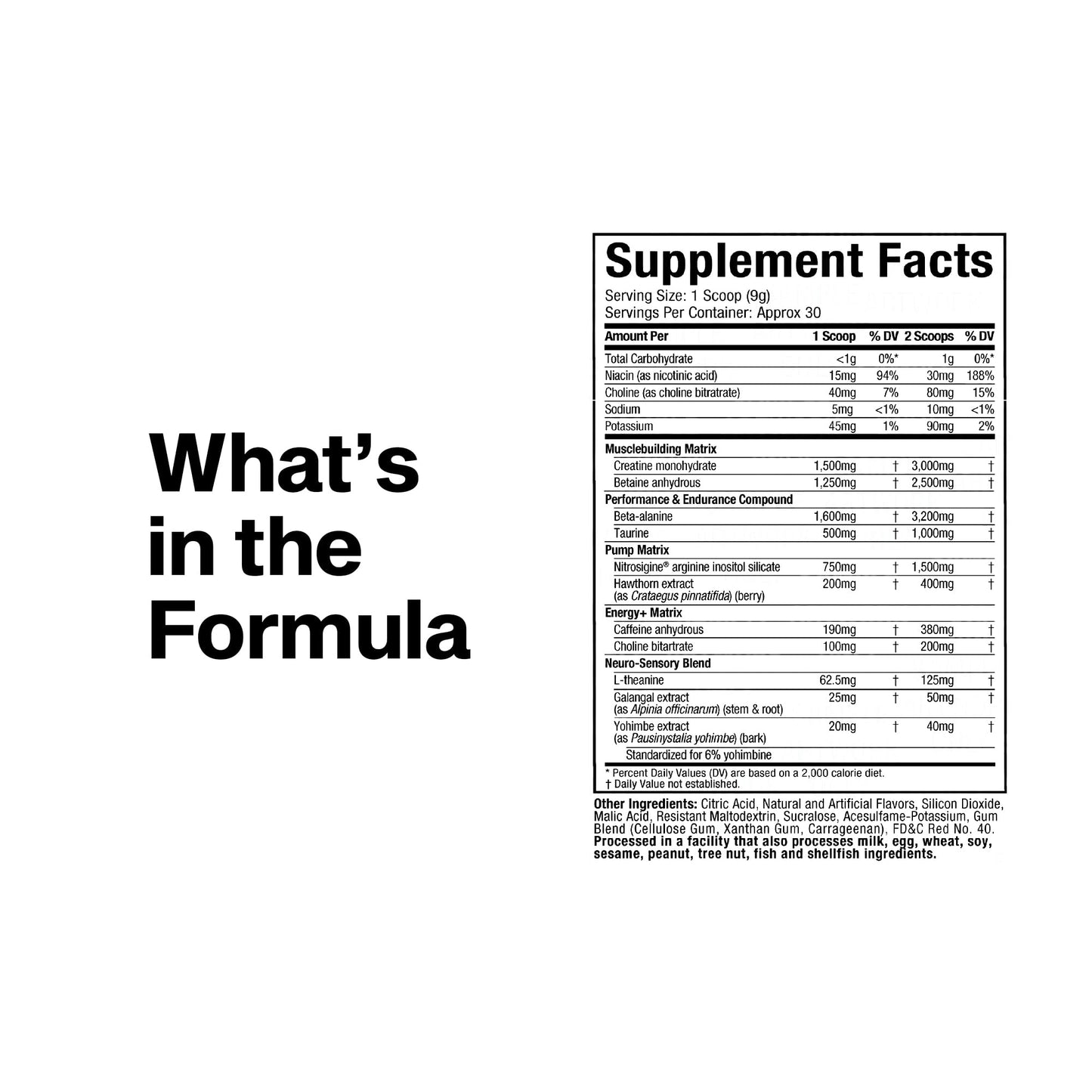MuscleTech Pre-Workout Powder, Vapor X5 - Sports Nutrition Muscle Building Supplements for Women & Men - Intense Muscle Pump Energy Powder Drink Mix - dailyvitalstore