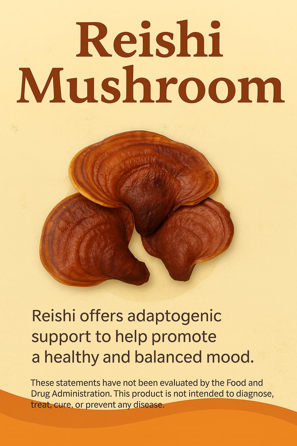 Mushroom Complex Capsules with Lion’s Mane, Reishi, Cordyceps, Chaga & Turkey Tail – True Totality Mushroom Power – Immune, Energy & Focus Support – 90 Vegan Capsules - dailyvitalstore