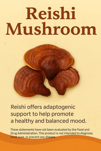 Mushroom Complex Capsules with Lion’s Mane, Reishi, Cordyceps, Chaga & Turkey Tail – True Totality Mushroom Power – Immune, Energy & Focus Support – 90 Vegan Capsules - dailyvitalstore