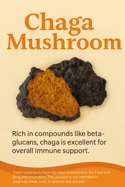 Mushroom Complex Capsules with Lion’s Mane, Reishi, Cordyceps, Chaga & Turkey Tail – True Totality Mushroom Power – Immune, Energy & Focus Support – 90 Vegan Capsules - dailyvitalstore