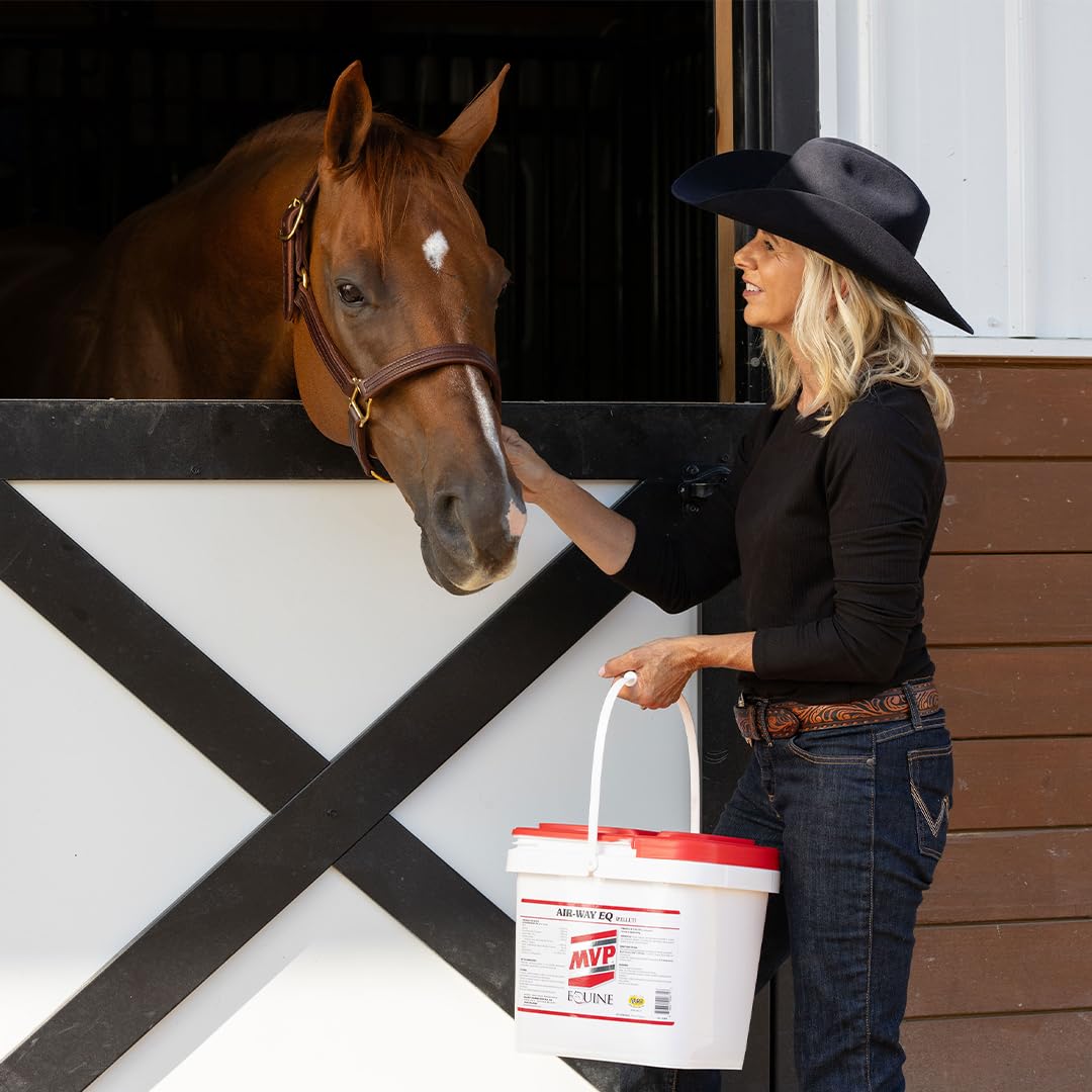 MVP Air-Way EQ Supports Healthy Lung Function and Seasonal Allergy Support in Horses, 5lb - 40 Servings - dailyvitalstore