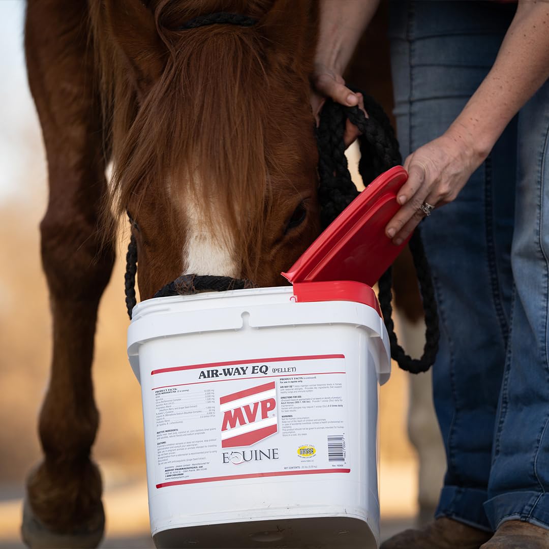 MVP Air-Way EQ Supports Healthy Lung Function and Seasonal Allergy Support in Horses, 5lb - 40 Servings - dailyvitalstore