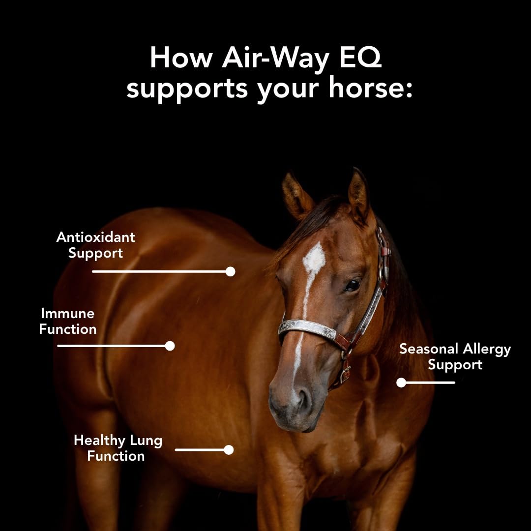 MVP Air-Way EQ Supports Healthy Lung Function and Seasonal Allergy Support in Horses, 5lb - 40 Servings - dailyvitalstore