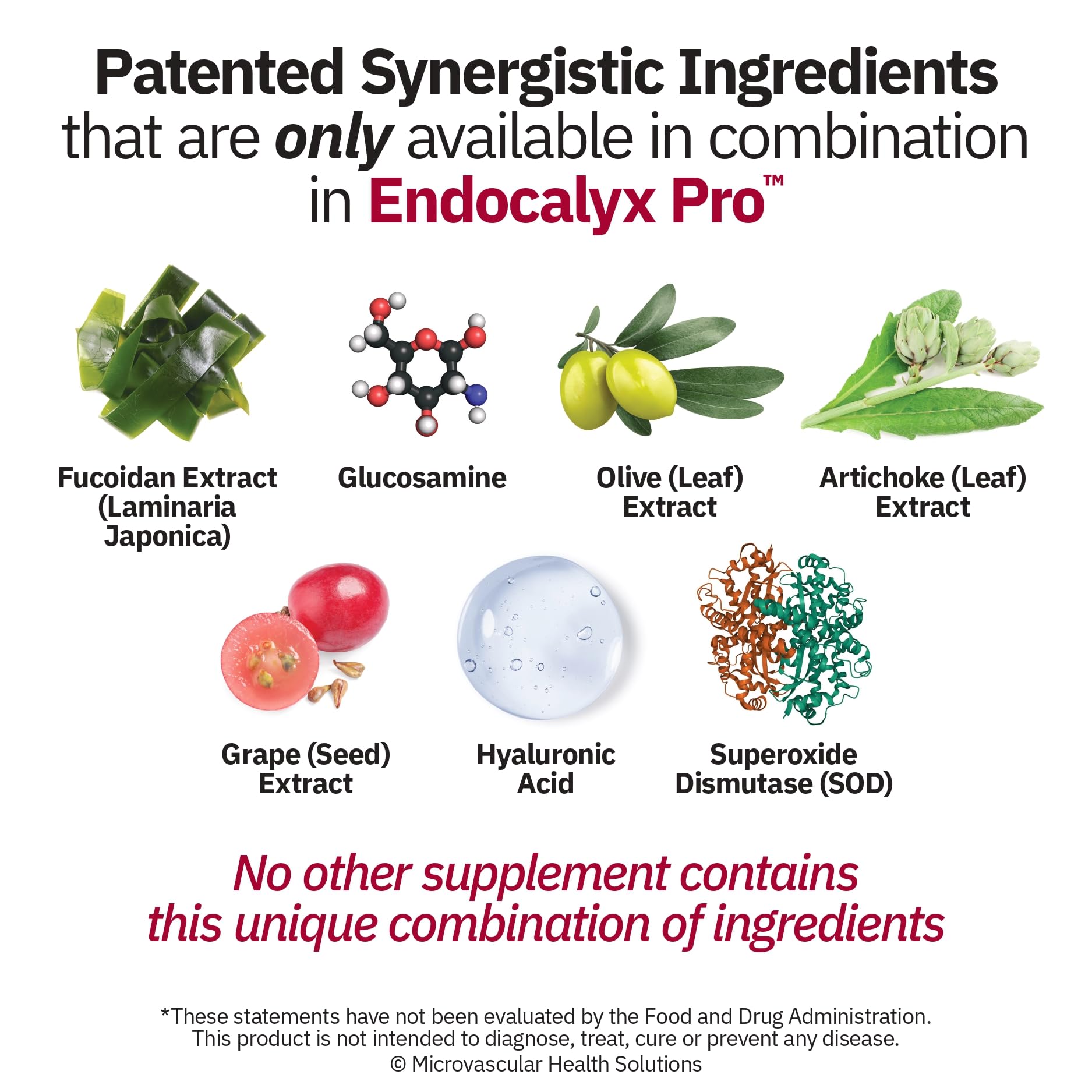 MYBODYRX Endocalyx Pro Supplement – Endothelial Glycocalyx Support 120 Capsules - Vascular & Microcirculation Health – Clinically-Studied – Patented – Supports Nitric Oxide Functions - dailyvitalstore