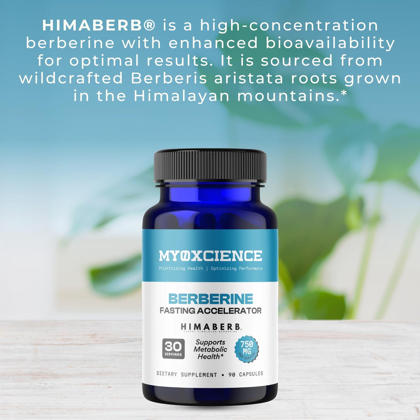 MYOXCIENCE Berberine Fasting Accelerator | Himaberb Berberine HCL with ALA (Alpha Lipoic Acid) and Biotin (90 Capsules) - dailyvitalstore