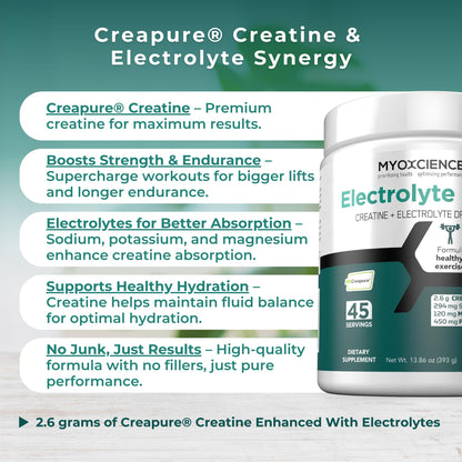 MYOXCIENCE Electrolyte STIX | Creatine Electrolyte Powder | Recovery from Exercise & Muscle Development w/Real Salt (Unflavored) (Jar 45 ct) - dailyvitalstore