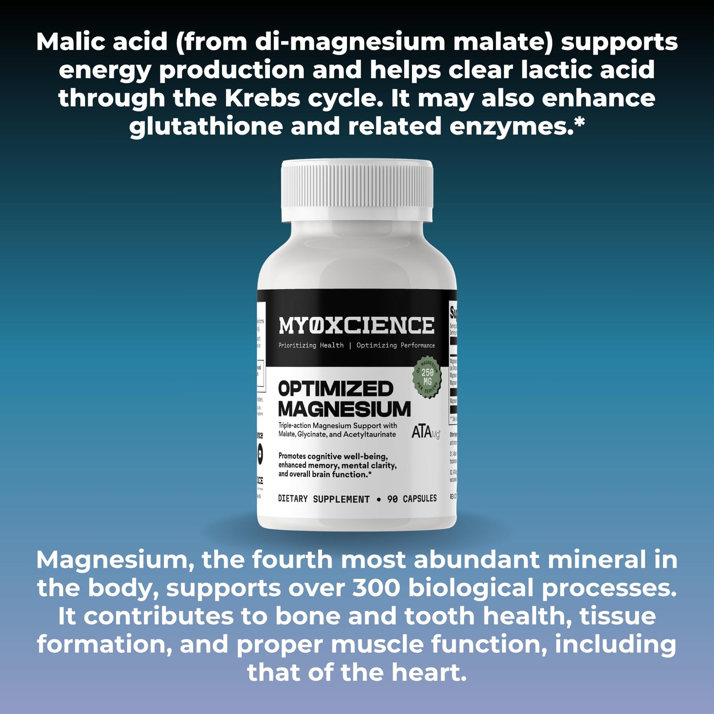 MYOXCIENCE Optimized Magnesium Glycinate + Magnesium Taurate (as ATAmag®) for High Brain Bioavailability to Support Stress Relief and Sleep | 30 Servings - dailyvitalstore