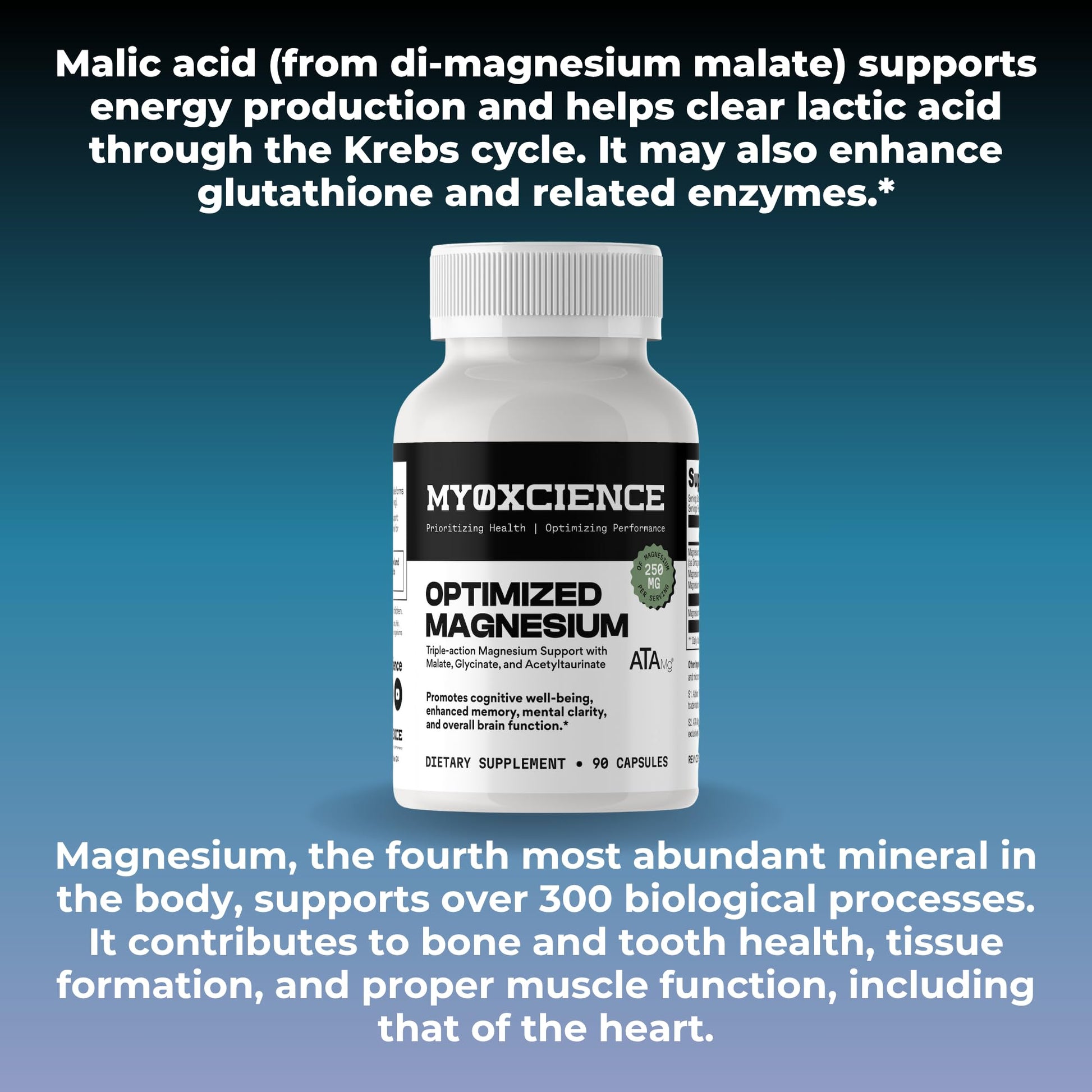 MYOXCIENCE Optimized Magnesium Glycinate + Magnesium Taurate (as ATAmag®) for High Brain Bioavailability to Support Stress Relief and Sleep | 30 Servings - dailyvitalstore