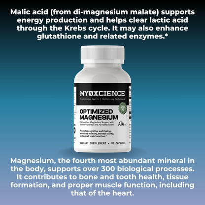 MYOXCIENCE Optimized Magnesium Glycinate + Magnesium Taurate (as ATAmag®) for High Brain Bioavailability to Support Stress Relief and Sleep | 30 Servings - dailyvitalstore