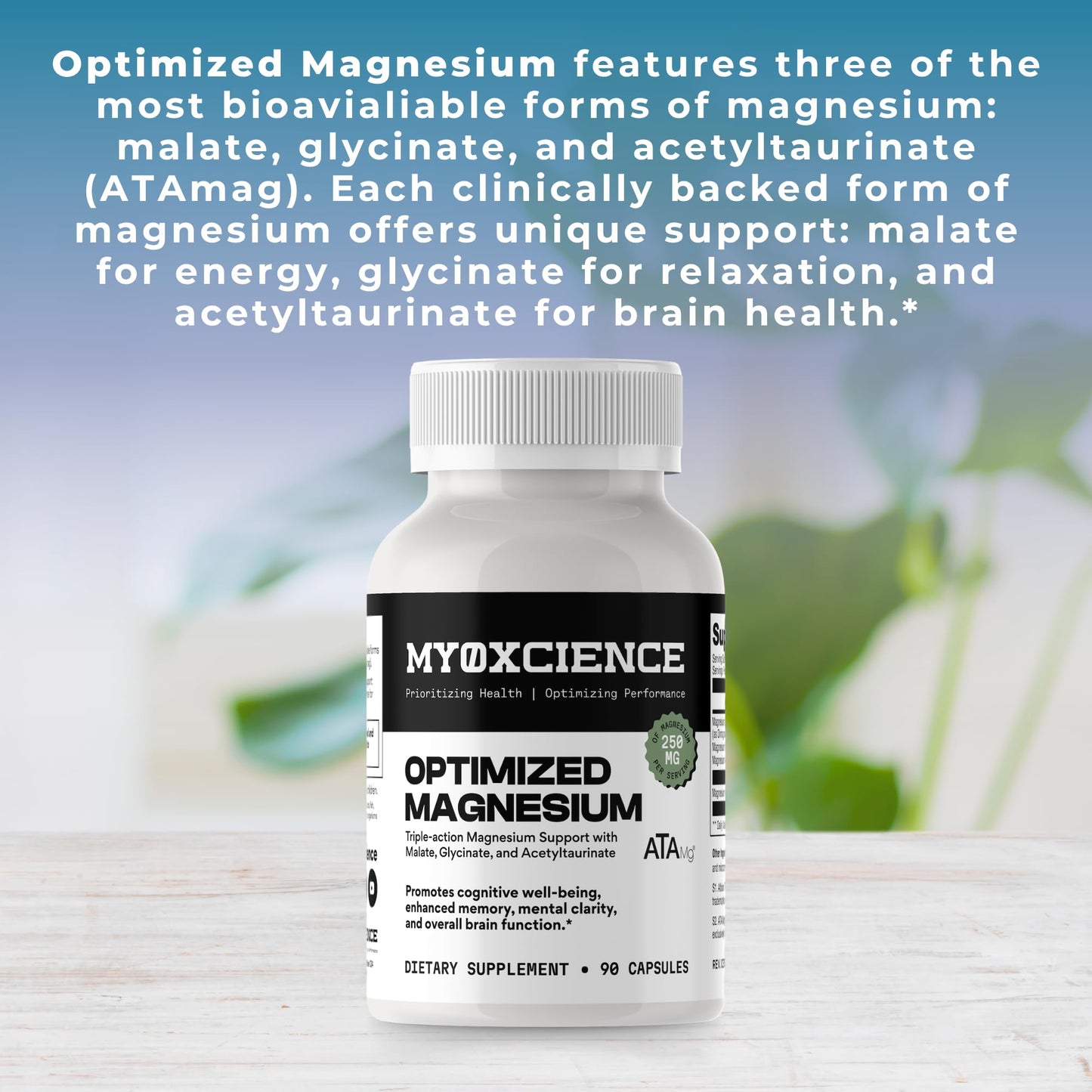 MYOXCIENCE Optimized Magnesium Glycinate + Magnesium Taurate (as ATAmag®) for High Brain Bioavailability to Support Stress Relief and Sleep | 30 Servings - dailyvitalstore